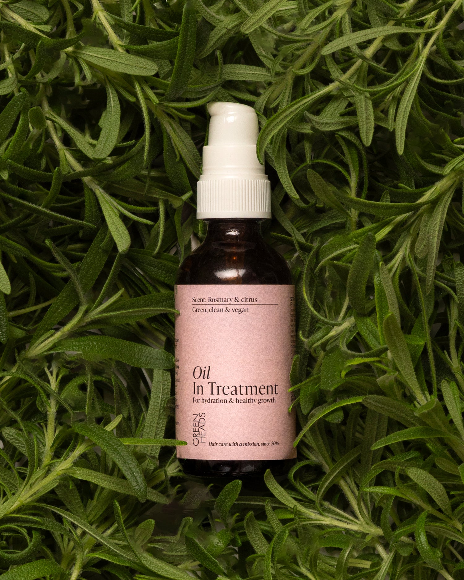 Rozemarijn Haarolie – Green Heads Oil in Treatment