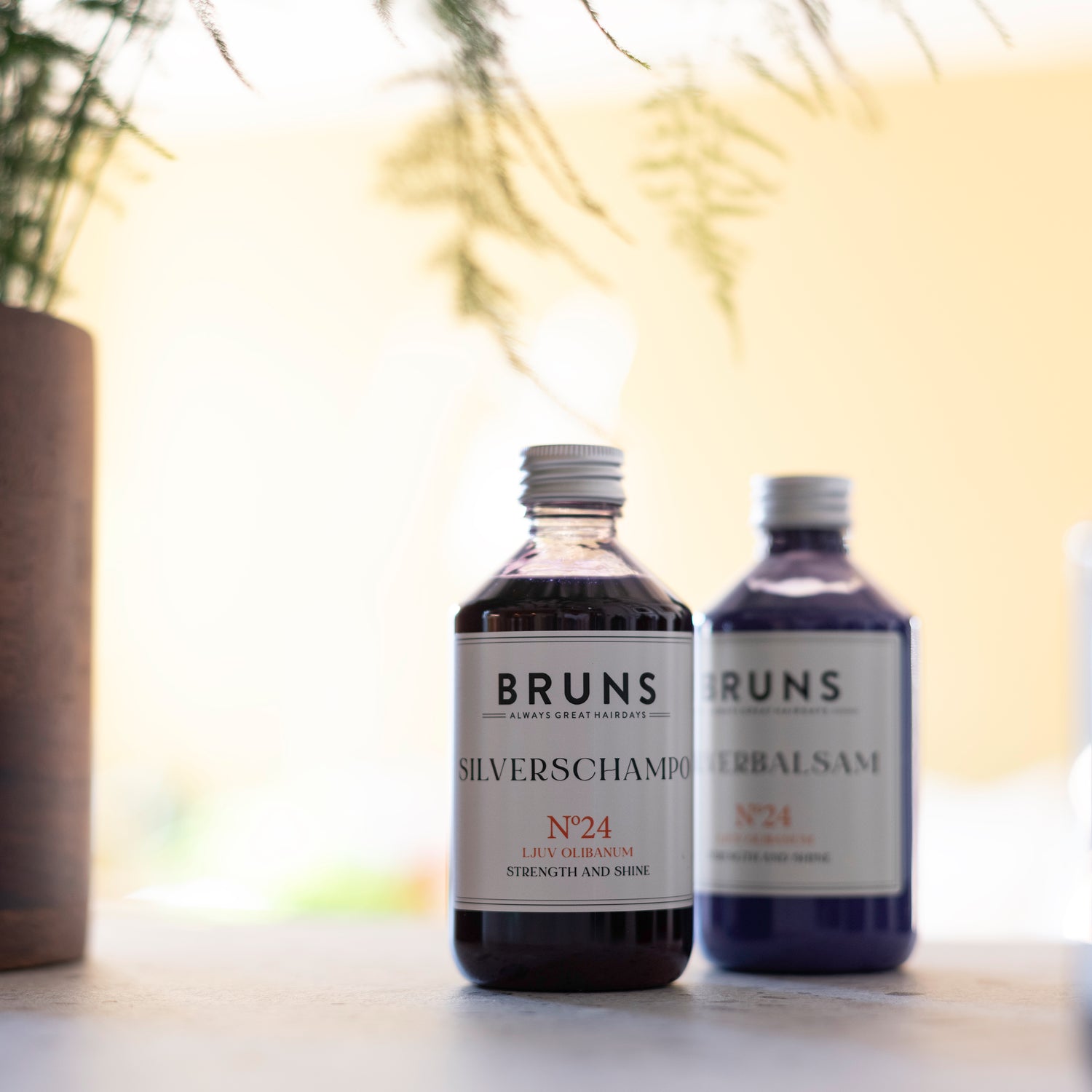 Duo - Shampoo + Conditioner - Gekleurd  - Blond - Grijs - No 24